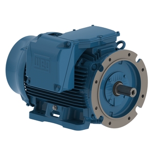 Moteur triphasé IE2 132kW 3000tr/min B35L(D) 400/690V (12210810)