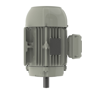 Moteur triphasé IE1 0,75kW 1500tr/min V17T 230/400V (14228952)