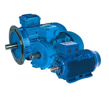 Moteurs asynchrones industriels